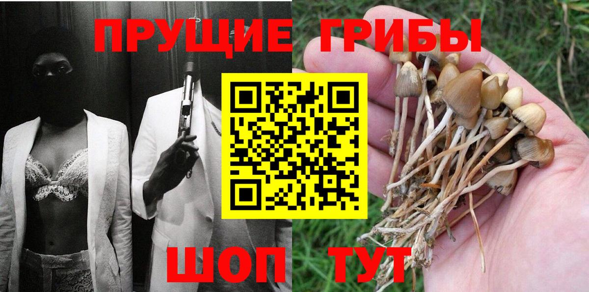 купить   Вход с VPN  Батайск  Псилоцибиновые грибы ЛСД 